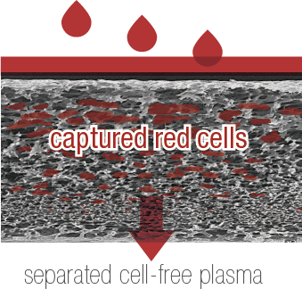 separated cell-free -plasma.png